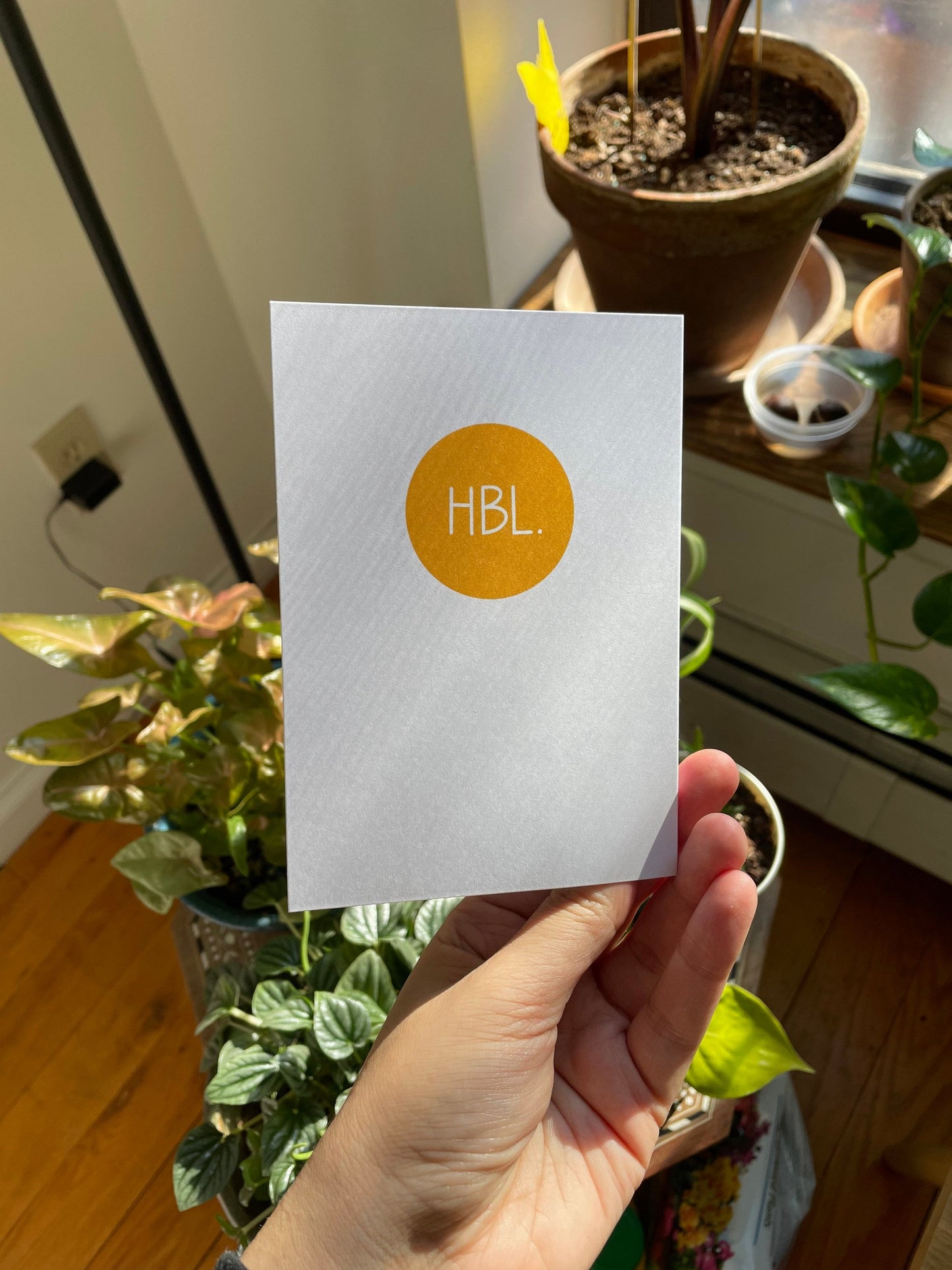 Plant Corner - Plant Card, NYC Storefront Card