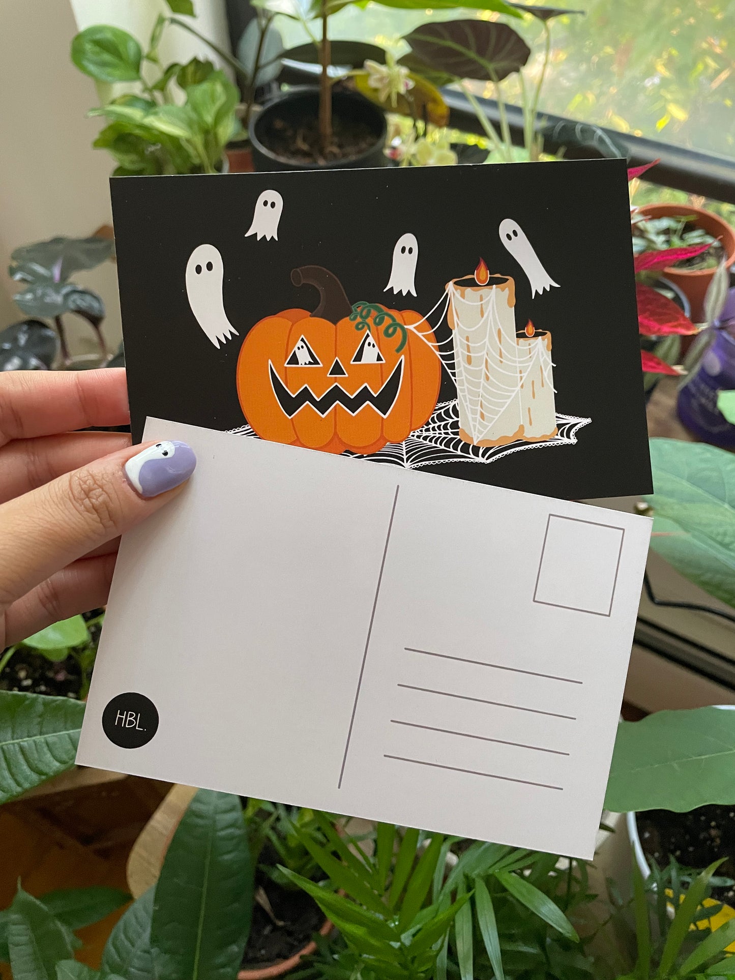 Halloween Pumpkin Postcard