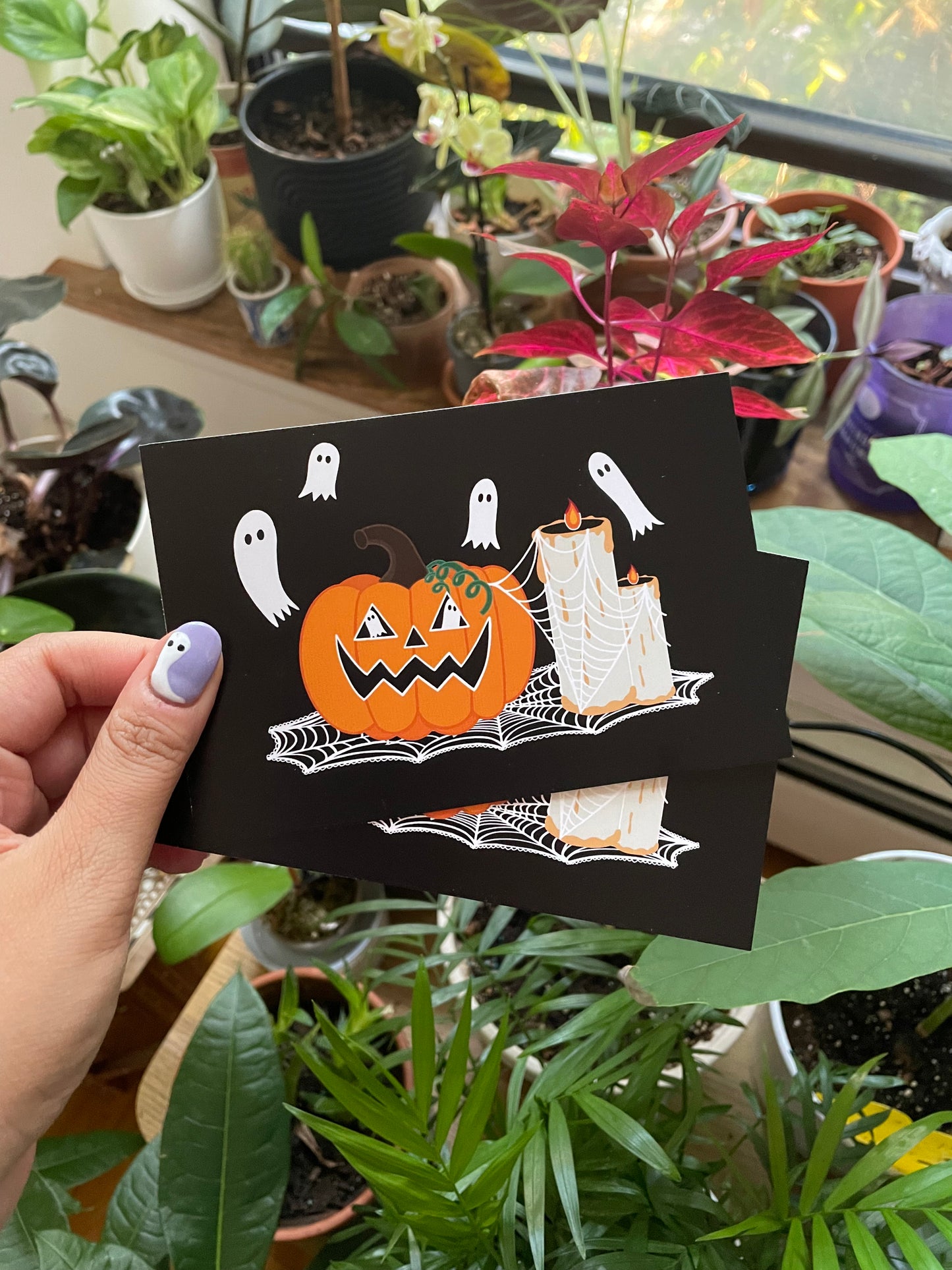 Halloween Pumpkin Postcard