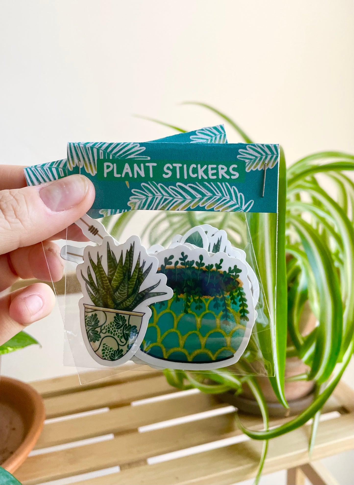 Plant Your Roots Sticker Pack - Vinyl Plant Stickers – Honey Bunch Lettering